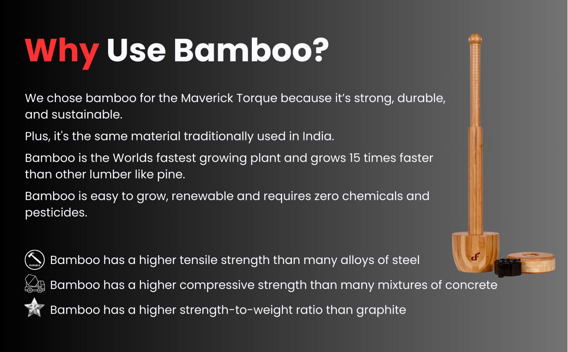 Bamboo